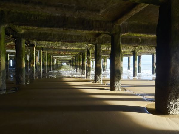 Pier And Beam Leveling in Annapolis